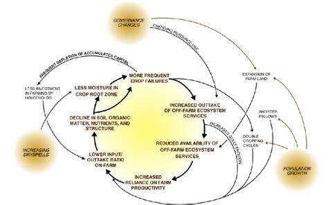 Example of Feedback model | Download Scientific Diagram