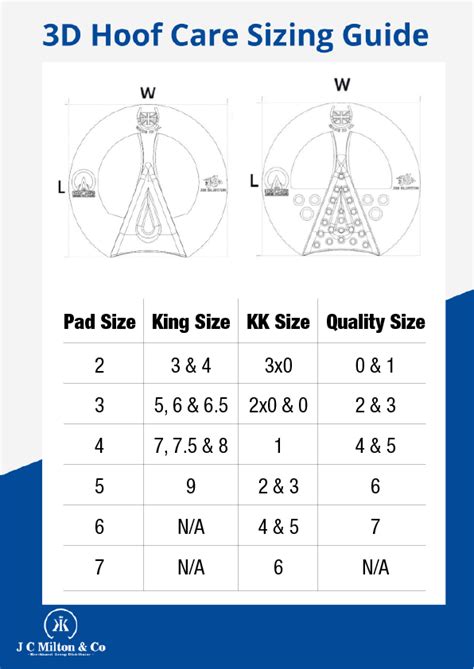 Shoe Sizing Explained | JC Milton & Co