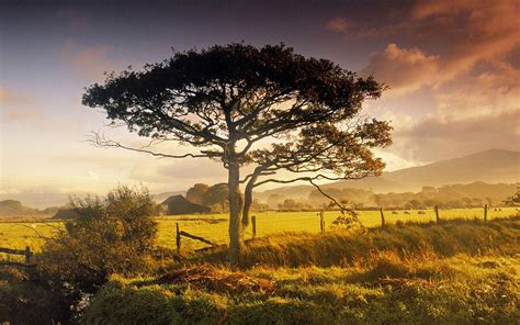 England Landscape Wallpapers - Top Free England Landscape Backgrounds - WallpaperAccess