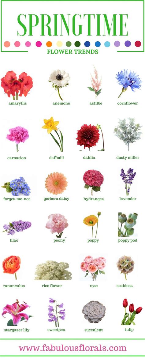 Perfect Best Spring Flowers Names And Review | Flores de primavera, Ramos de flores, Nombres de ...