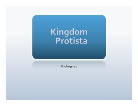 (PDF) Kingdom Protista Notes - Sardis Secondary School Protista Large.pdf · Fungus-like Protists ...