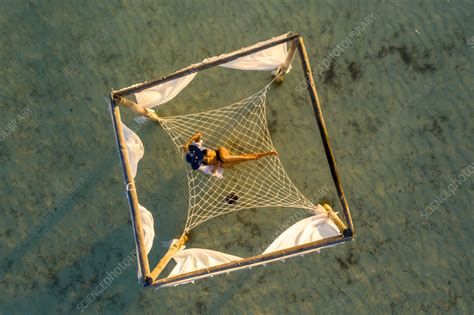 Aerial view of woman relaxing in sea hammock - Stock Image - F041/3394 - Science Photo Library