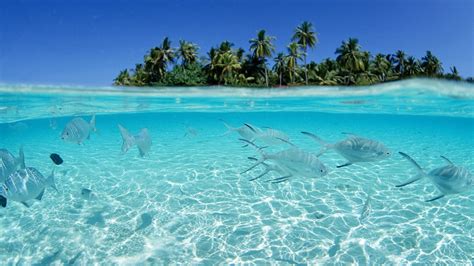 Maldives Beach Wallpapers | Best Wallpapers