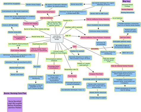 Med Surg Concept Map Template