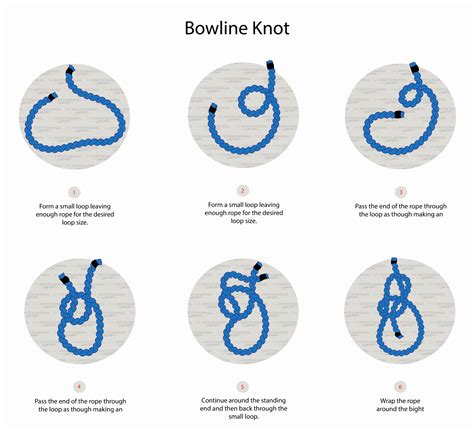 How to Tie a Bowline Knot (A Quick, Illustrated Guide)