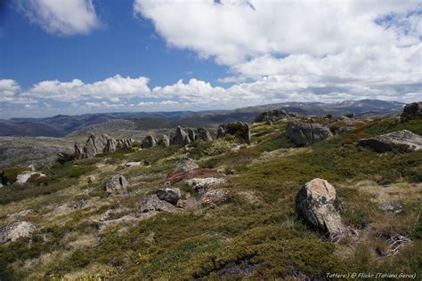 Elevation of Mount Kosciuszko, Kosciuszko National Park NSW, Australia - Topographic Map ...