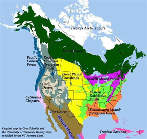 Temperate coniferous forest, Forest map, Biomes