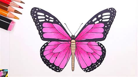 "Mind-Blowing Compilation of Full 4K Butterfly Drawing Images: Over 999 Stunning Visuals!"