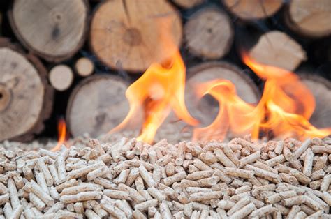 Is Biomass Renewable? - Clean Energy Ideas