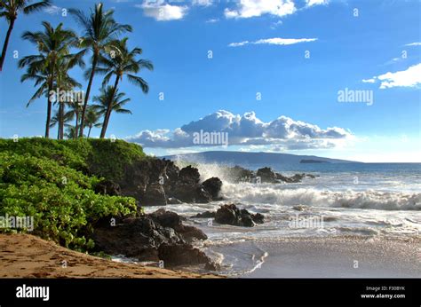 Tropical Hawaiian beach scene with palm trees, Maui, Hawaii. Scenic travel destination location ...