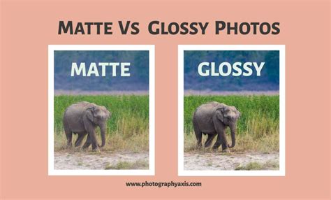 Matte Vs Glossy Photos – Which is Best For You? - PhotographyAxis