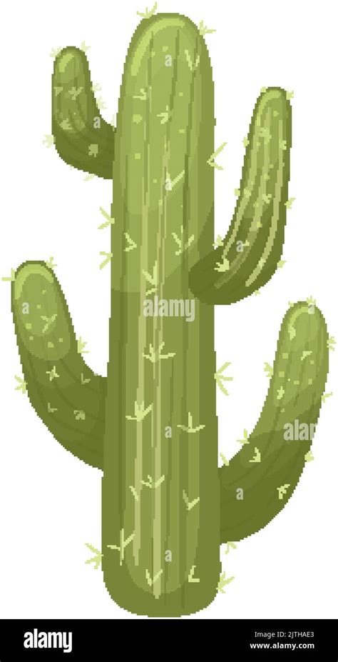 cactus desert cartoon vector illustration Stock Vector Image & Art - Alamy