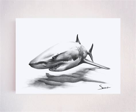 Great White Shark Oil Painting Art Print by Eric Sweet - Etsy