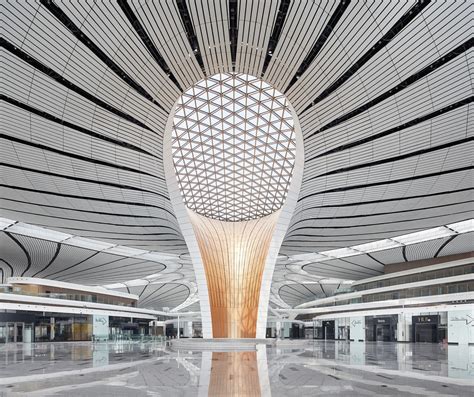 Gallery of Beijing Daxing International Airport / Zaha Hadid Architects - 17