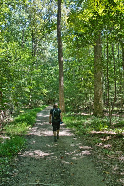 York River State Park - The Hoppy Hikers