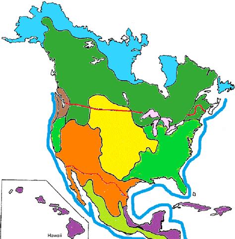 Biome Map Of North America – Map Vector