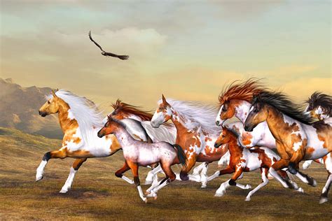 Wild Horses Herd Digital Art by Simone Gatterwe