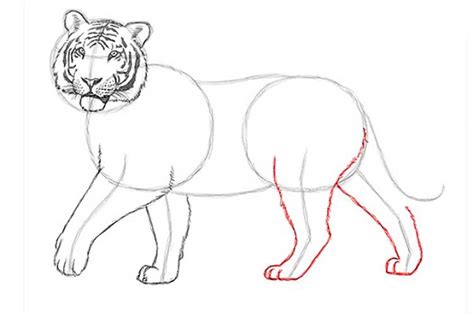 How To Draw A Tiger Face Step By Step For Kids : Tiger Head Drawing Easy at PaintingValley.com ...