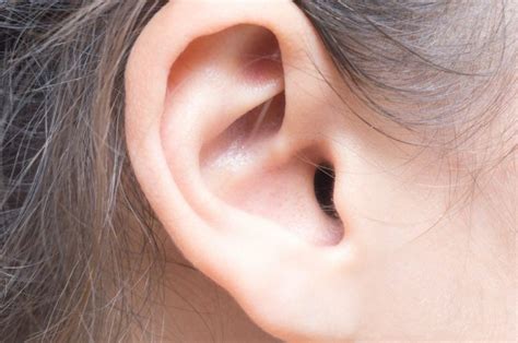 Middle Ear Implants - Ears & Hearing UK