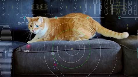 See The Cat Video NASA Laser-Beamed Across 19 Million Miles Of Space