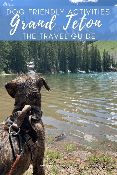 7 Grand Teton National Park Dog Friendly Activities - Wandering Stus