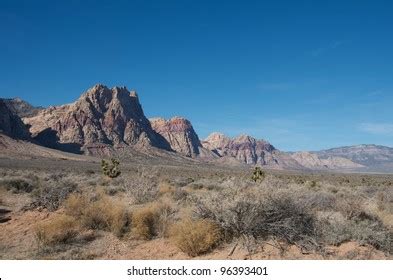 1,895 Desert Scrub Plants Images, Stock Photos & Vectors | Shutterstock