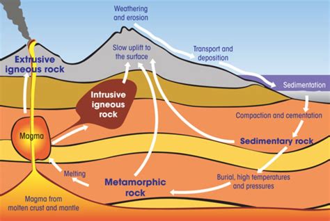 Top 7 Differences Between Metamorphic Rocks and Igneous Rocks