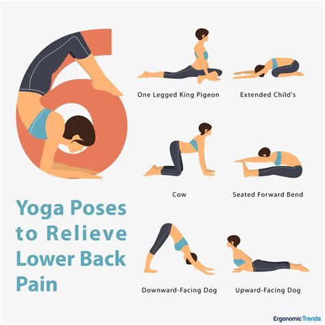 6 Yoga Poses to Help Alleviate Back Pain | LaptrinhX