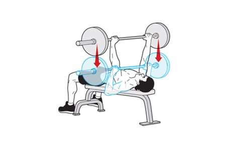 A Guide to Perfect Barbell Bench Press Technique for Stubborn Chest Muscles