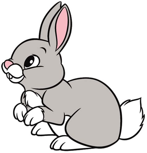 Rabbit Clipart Pictures – Clipartix