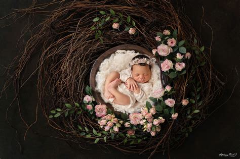 Newborn Photoshoot Props - Best 40 Ideas