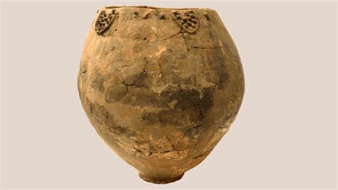 Ancient Georgian Pottery Reveals World’s Oldest Wine | Archaeology | Sci-News.com