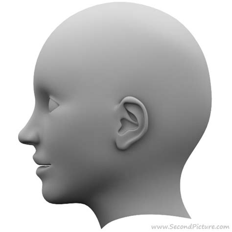 3d max tutorials: 3D Modeling a Human Head