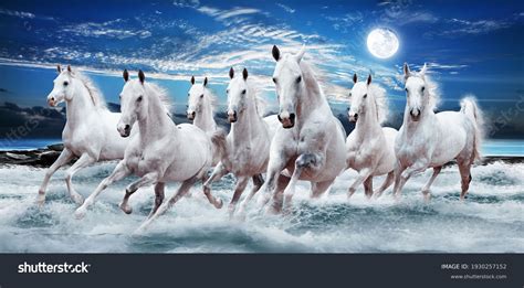 668 Seven Horses Running Images, Stock Photos & Vectors | Shutterstock