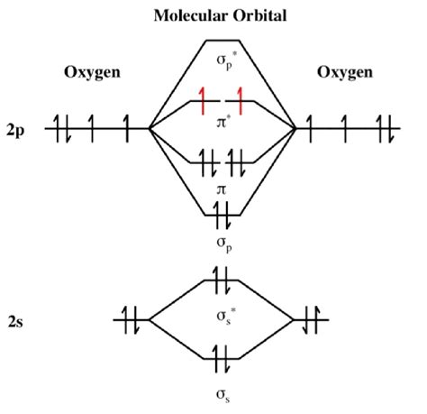 O3 Molecular Orbital Diagram