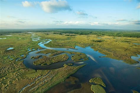 Everglades National Park | Location, History, & Facts | Britannica