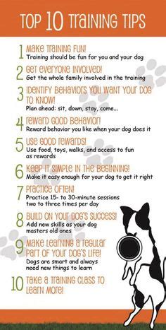 25 Dog commands ideas | dog care, dog commands, dog training obedience