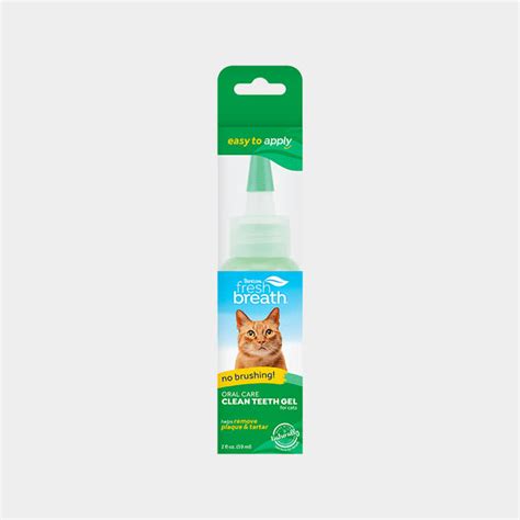 7 Best Cat Toothpaste and Dental Products · The Wildest