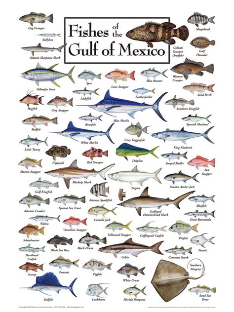 Surf Fishing Tips for the Texas Gulf Coast