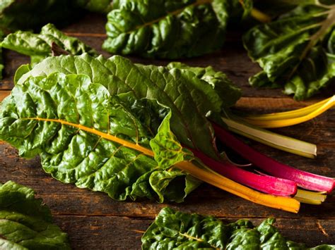 Swiss Chard Harvest - When Is Chard Ready To Pick