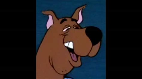 Scooby Doo Meme Face