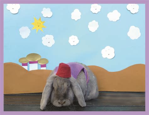 Benjamin the Bunny Wears Adorable Handmade Costumes from Popular Movies