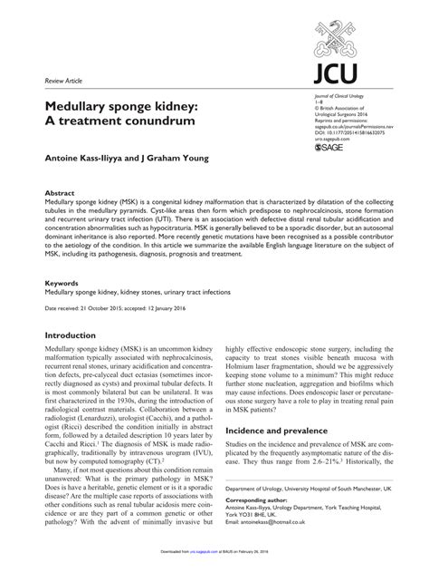 (PDF) Medullary sponge kidney: A treatment conundrum