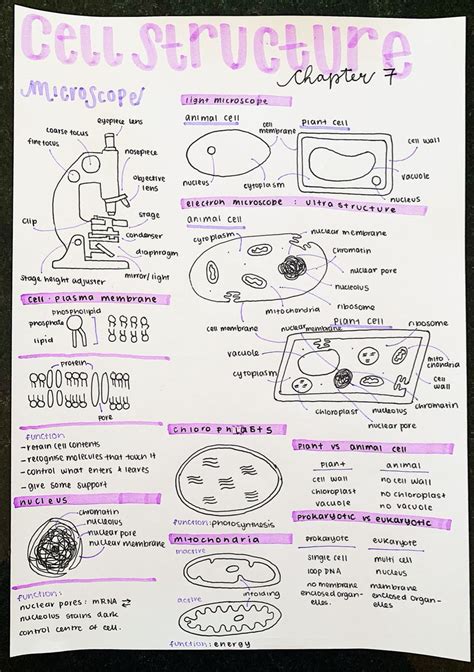 aesthetic notes | Nurse study notes, Nursing school notes, Medical school essentials