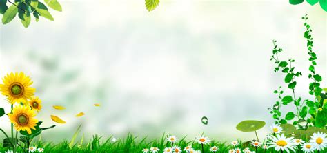 Beautiful Nature Background, Sunflower, Green, Flowers Background Image for Free Download