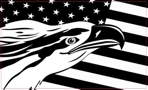 5in x 3in Black and White Eagle American Flag Magnet Magnetic Vehicle | StickerTalk®