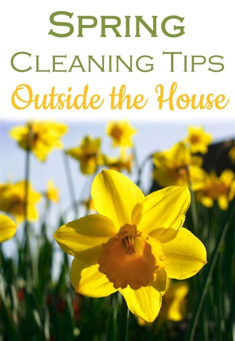 Spring Cleaning Tips: Outside the House - Food Life Design