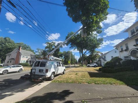 The Tree Removal Signs & How to Spot them? - Trout Brook Arborists