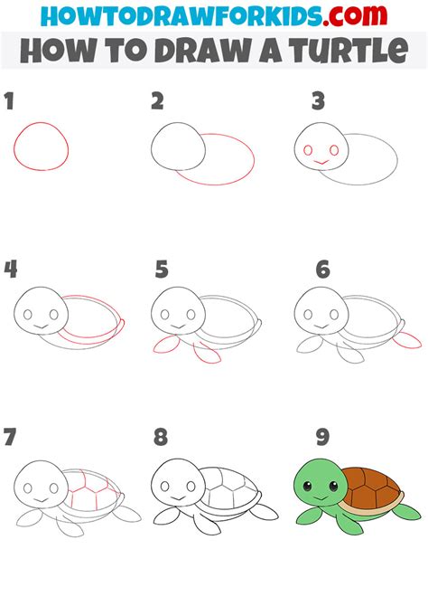 How To Draw A Turtle Step By Step For Kids