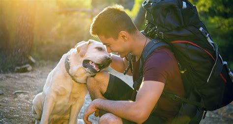 When Can Dogs Start Hiking